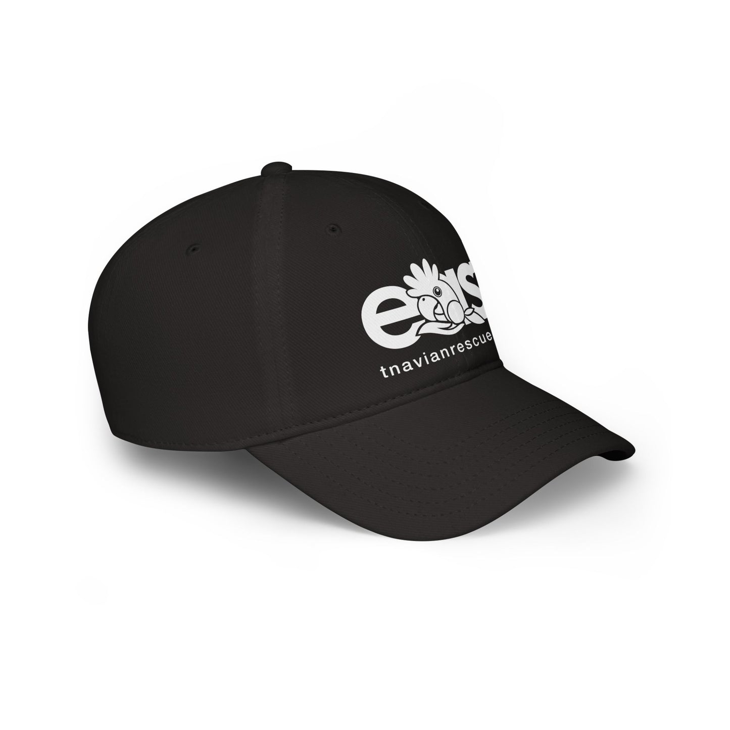 EAST Logo Low Profile Baseball Cap