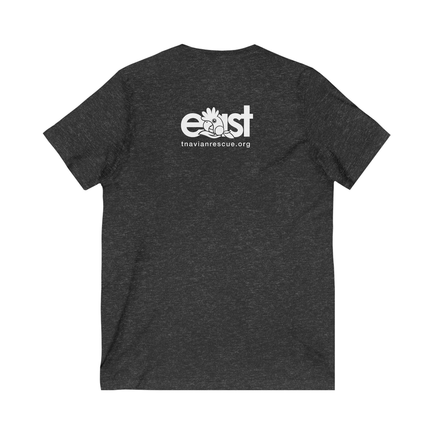 EAST Amazon Unisex Jersey Short Sleeve V-Neck Tee